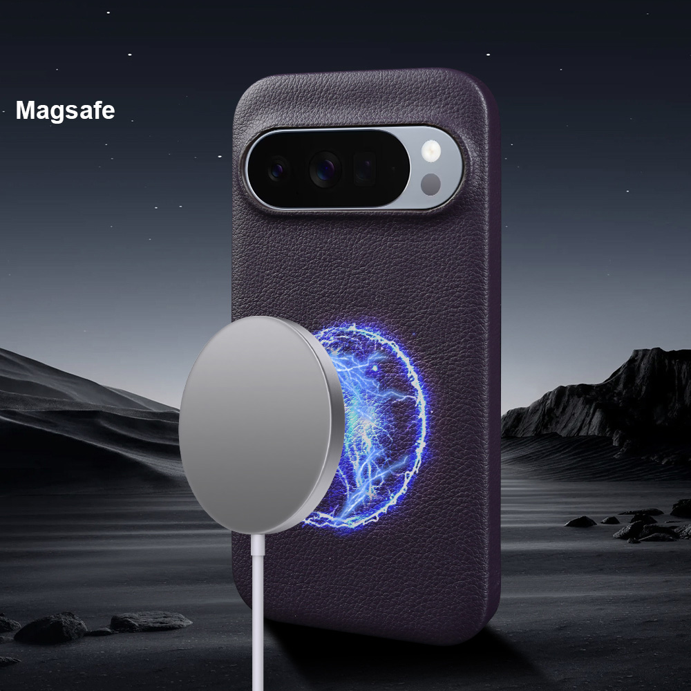 Magnetic Leather Back Cover Ca - Google Pixel 9 评论和价格